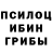 Галлюциногенные грибы Psilocybine cubensis Gulnoraxon Zokirova