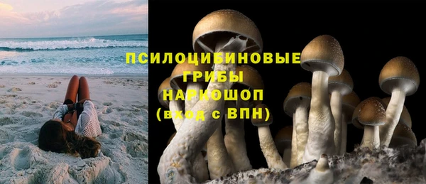 альфа пвп Вяземский