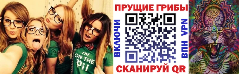 Галлюциногенные грибы GOLDEN TEACHER Кириши